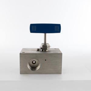 Wellhead Gauge & Bleed Valves Wellhead Gauge & Bleed Valves